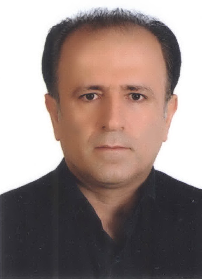 سید مجتبی حسین پور